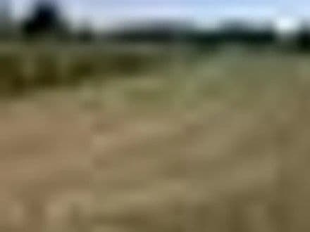 Land at Coker Marsh Allotments - Nr Yeovil