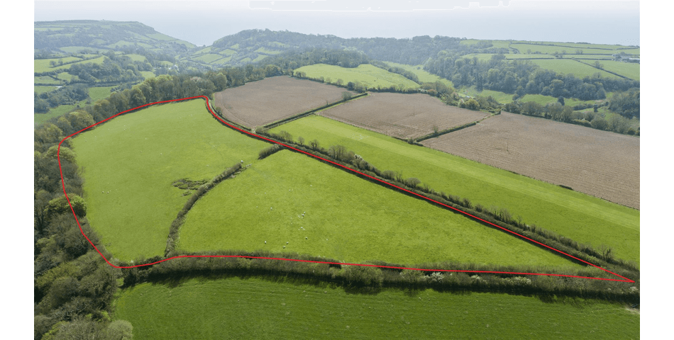 Property Image 0