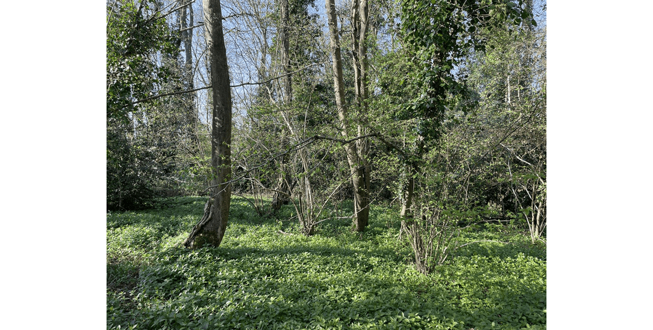 Property Image 0