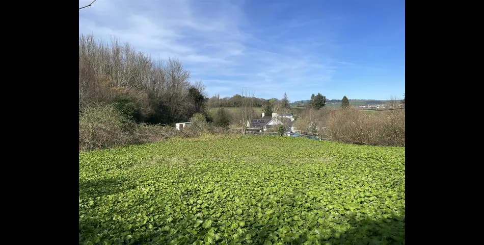 Property Image 0