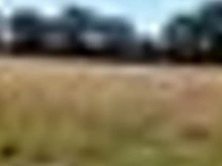 Land at Pincusion Corner - Nr Yeovil