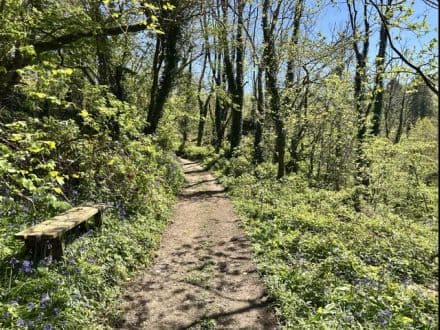 Hawkers Wood Land at Penrose - Blisland 