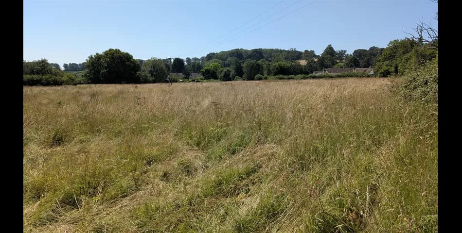 Property Image 0