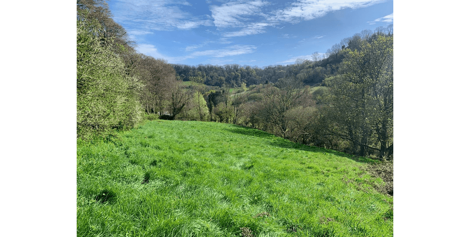 Property Image 0