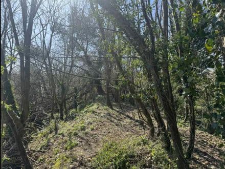 Land next to Budleigh Salterton Cricket Club - East Budleigh