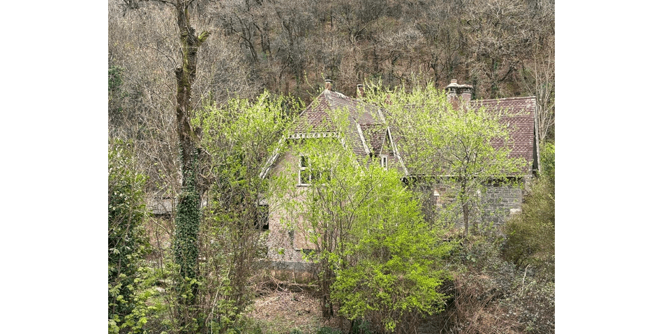 Property Image 0