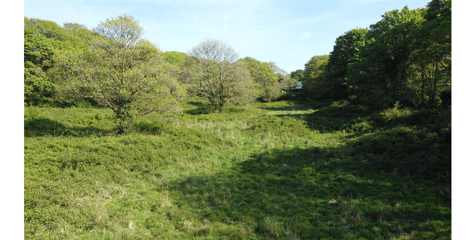 Property Image 0