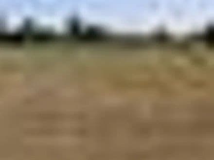Land at Hunts House Allotments  - Nr Yeovil