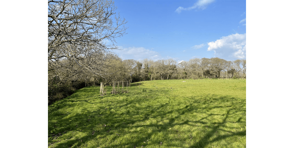 Property Image 0